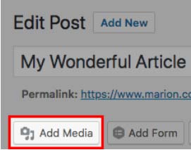 Figure 2 - Add Media Button