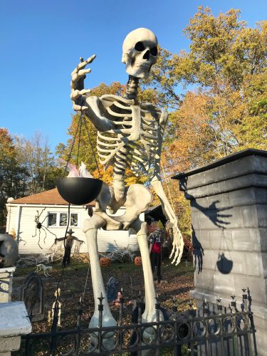 Home Depot Skeleton Marketing