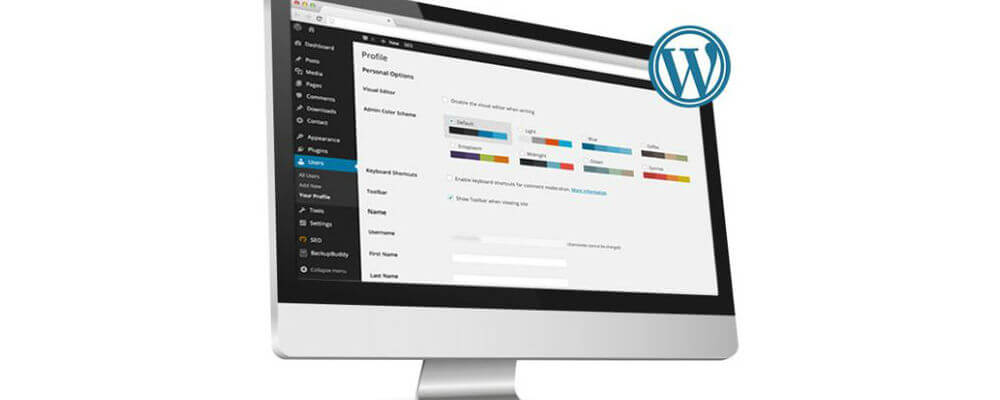 is WordPress a website builder?