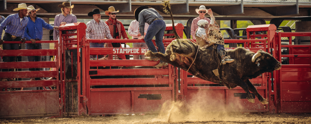 How the Houston Rodeo’s Advertising Ropes in Crowds Year After Year
